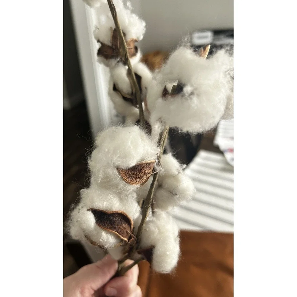 N/A purchased no